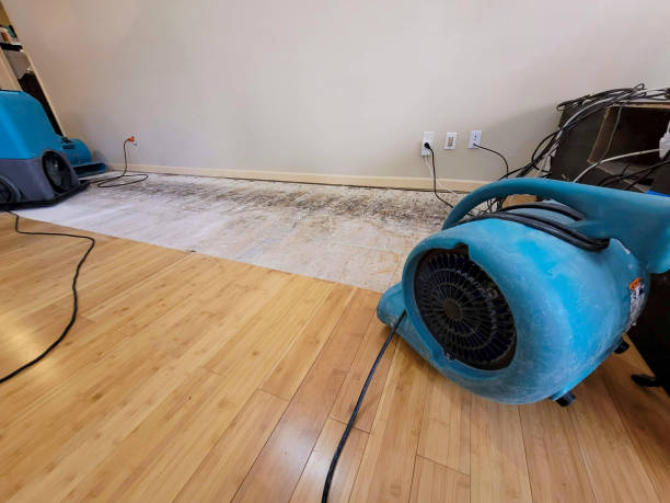 Professional Structural Drying technician working in Utica, NY